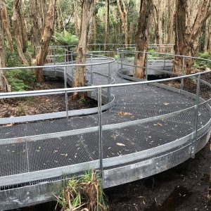walkway through Lachlan Swamp